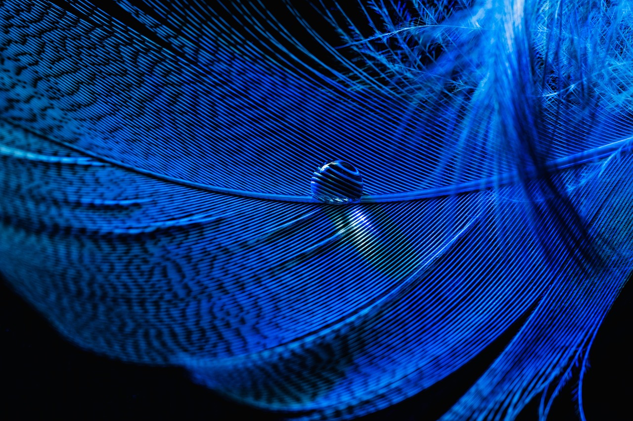structured light 3d scanning blue